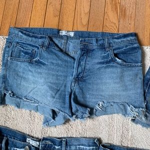 Free People Shark Bite Shorts